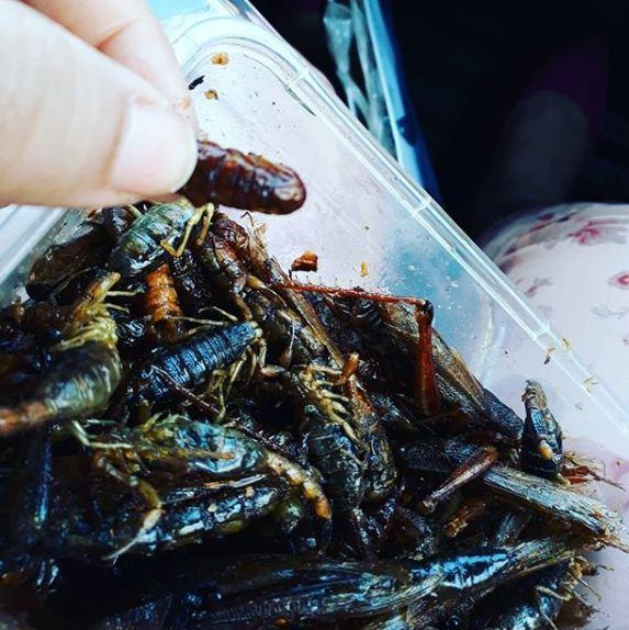 Ürəyi zəif olanlar baxmasın  - Aytən Səfərova